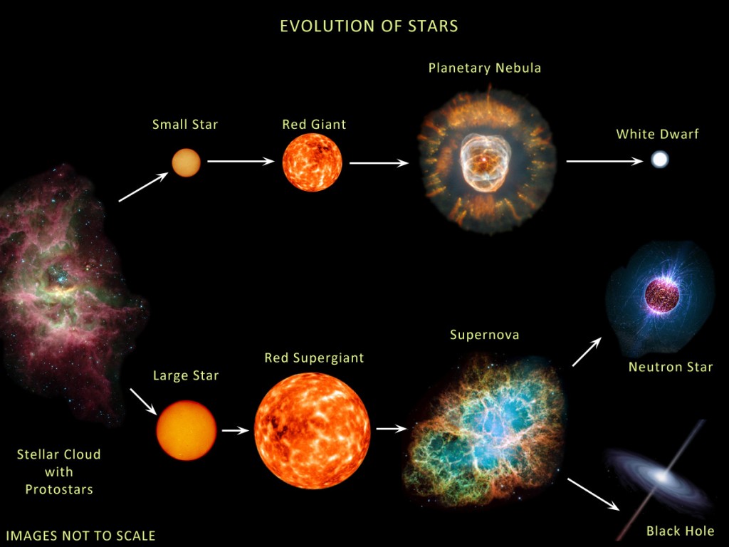 The evolution of stars, showing how a sufficiently large star can end its life as a black hole